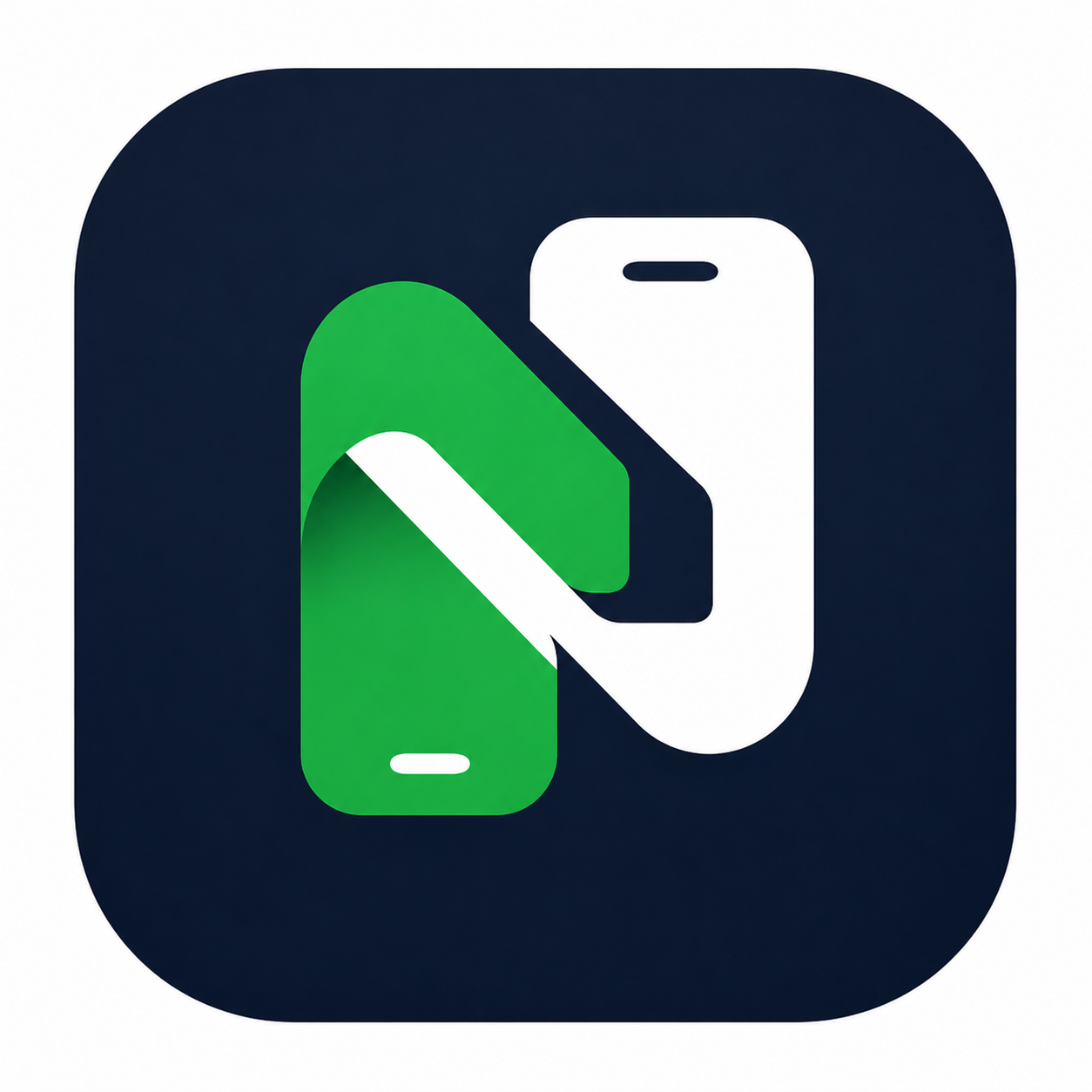 NotioPay logo